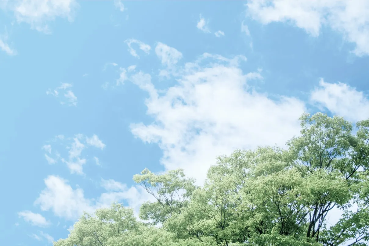 鴻巣の青空と木々