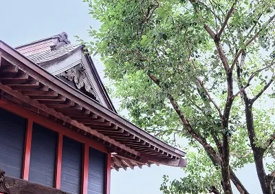 地域の寺社の屋根と木